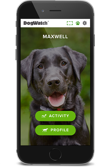 DogWatch by Great Lakes Pet Fencing Inc, Hart, Michigan | SmartFence WebApp Image